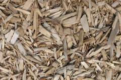biomass boilers Llanfynydd